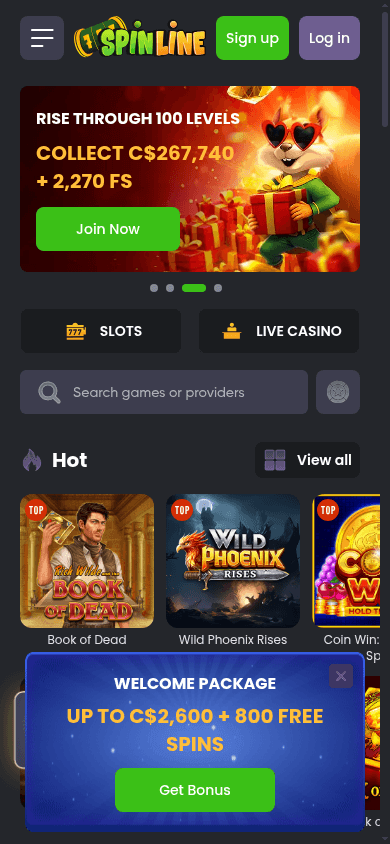Spinline mobile view